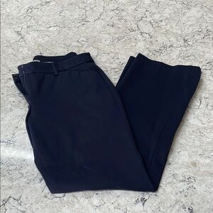 Express Navy Blue Dress Pants Straight Leg